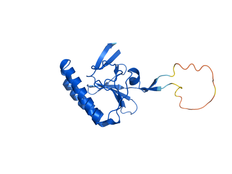 AlphaFold predicted structure of TMA19