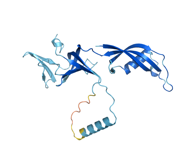 AlphaFold predicted structure of RPC25