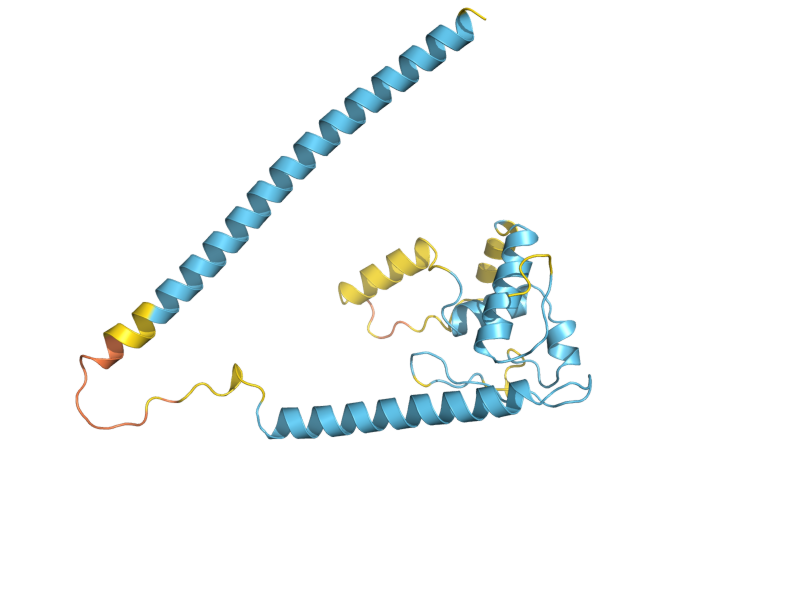 AlphaFold predicted structure of MRP8