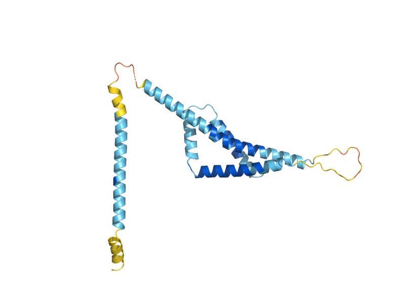 AlphaFold predicted structure of YET1