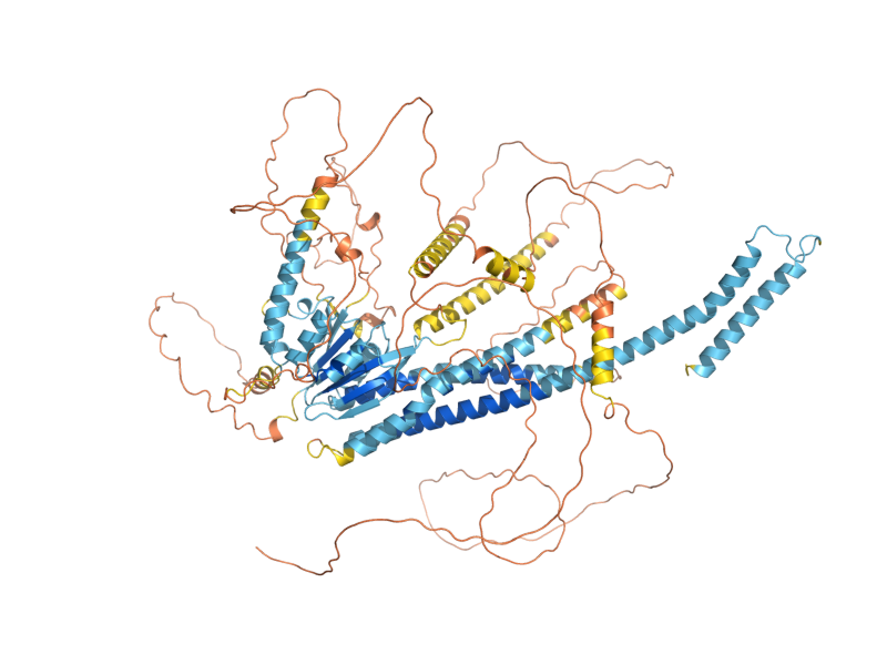 AlphaFold predicted structure of MNR2