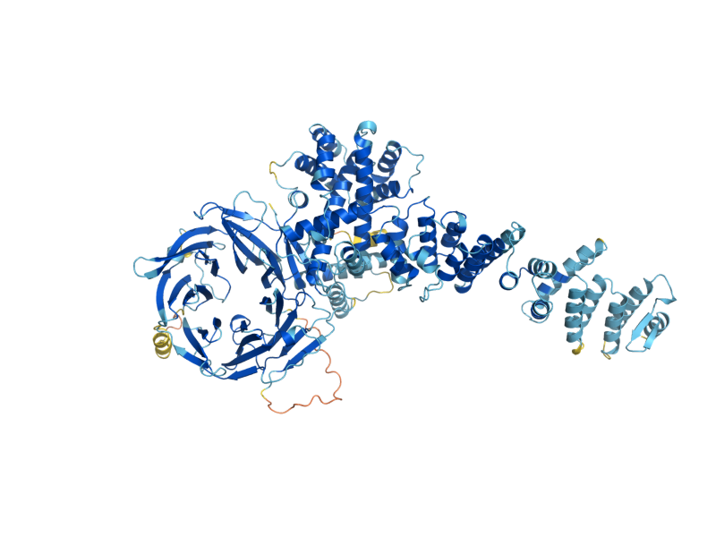 AlphaFold predicted structure of NUP120