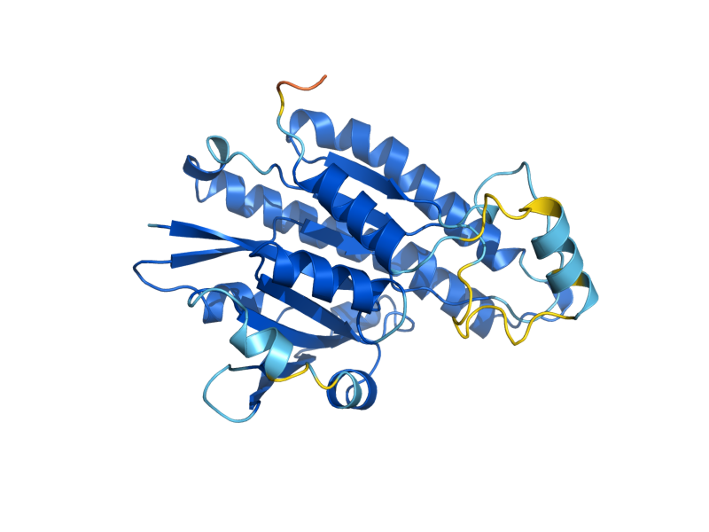 AlphaFold predicted structure of OAR1