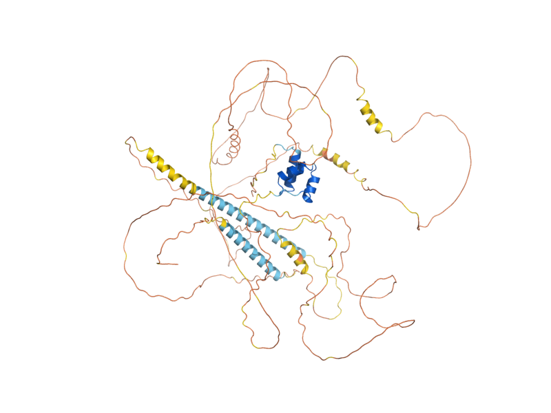 AlphaFold predicted structure of DEF1