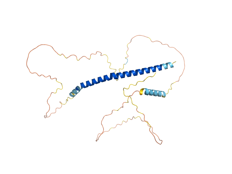 AlphaFold predicted structure of ASK1