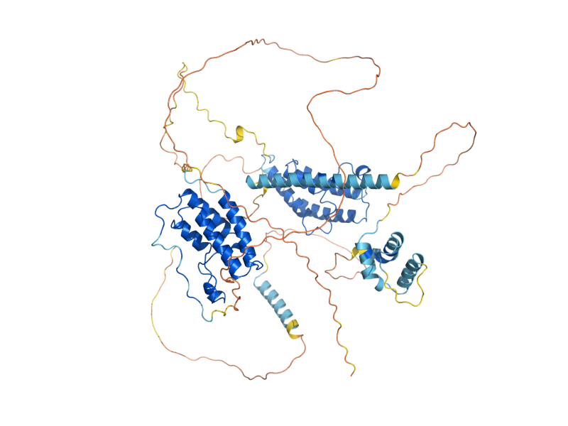 AlphaFold predicted structure of BDF1