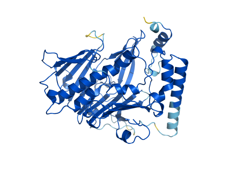 AlphaFold predicted structure of HES1