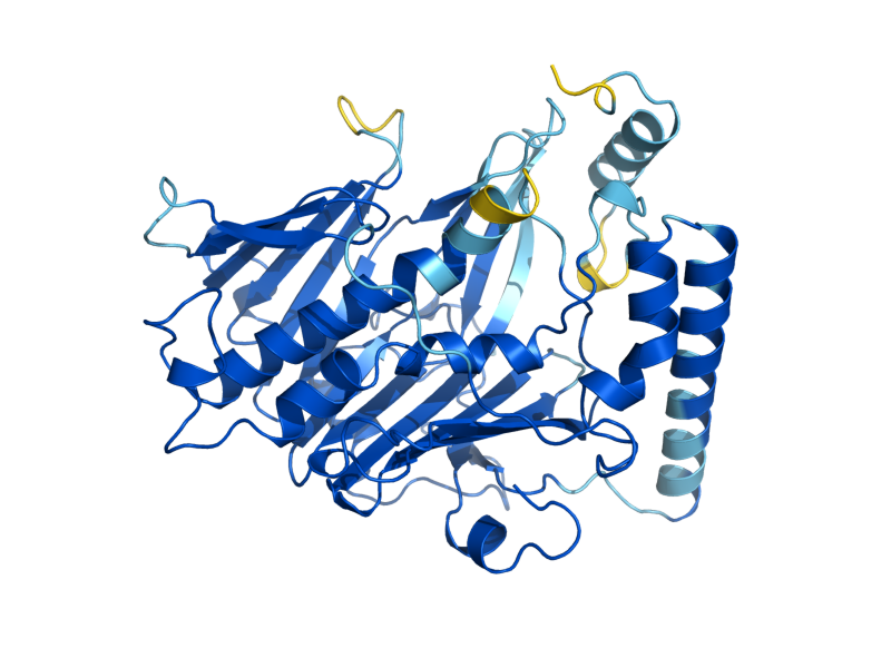 AlphaFold predicted structure of KES1