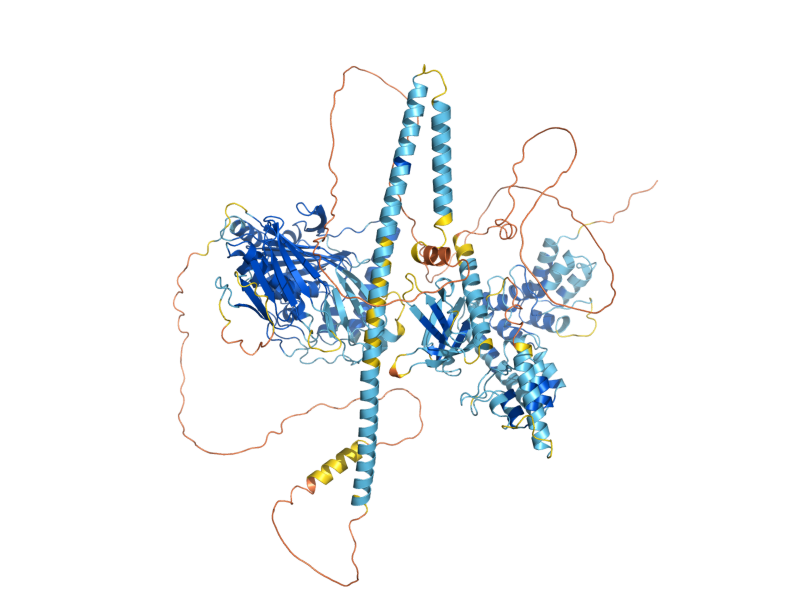AlphaFold predicted structure of SWH1