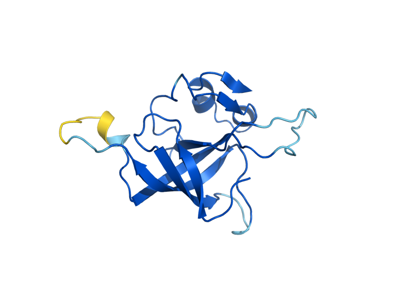 AlphaFold predicted structure of MRPL38
