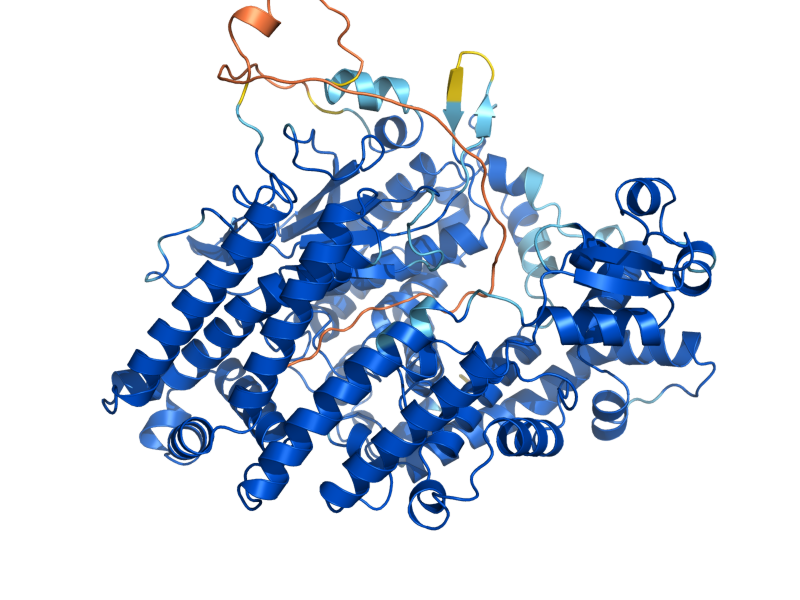 AlphaFold predicted structure of OCT1