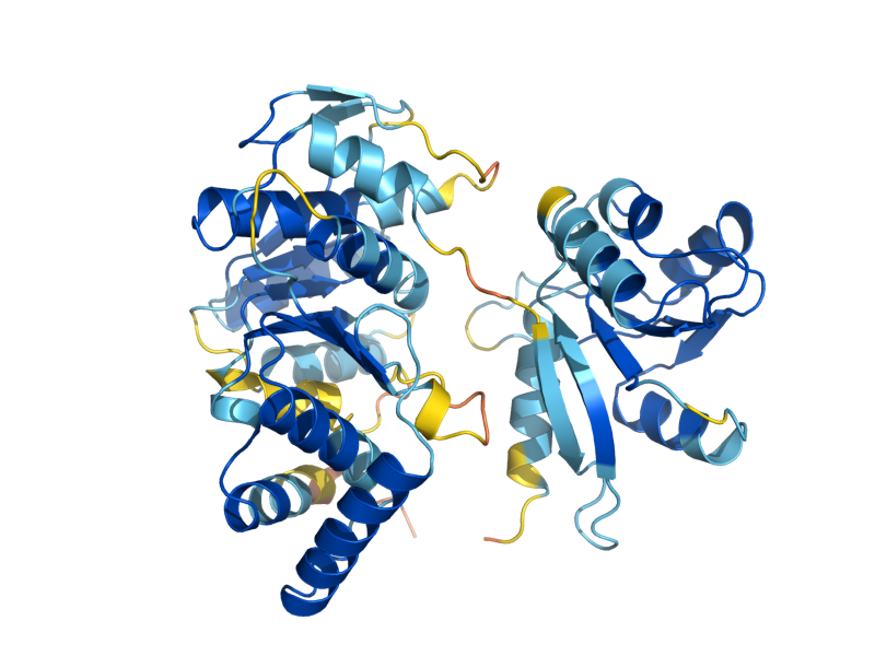 AlphaFold predicted structure of RMA1