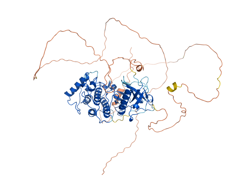 AlphaFold predicted structure of PTK1