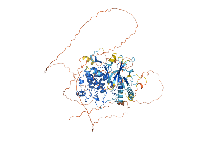 AlphaFold predicted structure of KKQ8