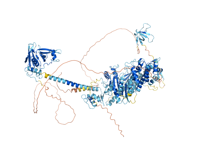 AlphaFold predicted structure of MYO3