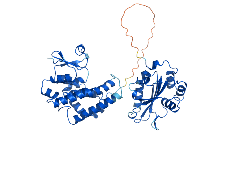 AlphaFold predicted structure of TEF4