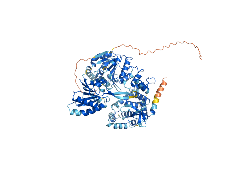 AlphaFold predicted structure of DHR2