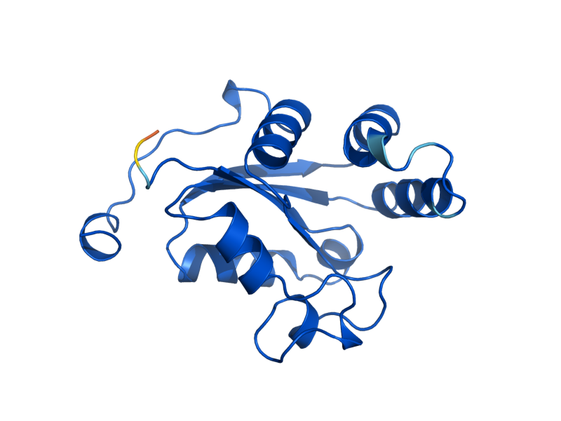AlphaFold predicted structure of YNK1