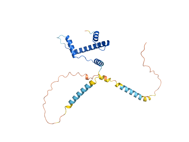 AlphaFold predicted structure of CSE4