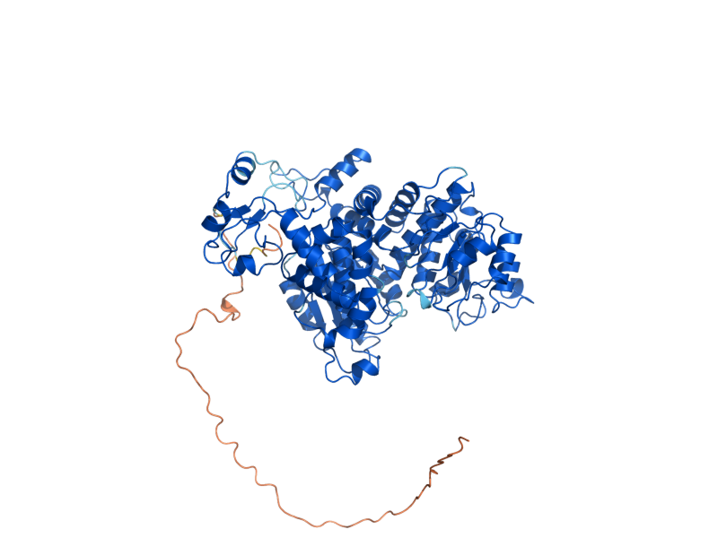 AlphaFold predicted structure of MAE1
