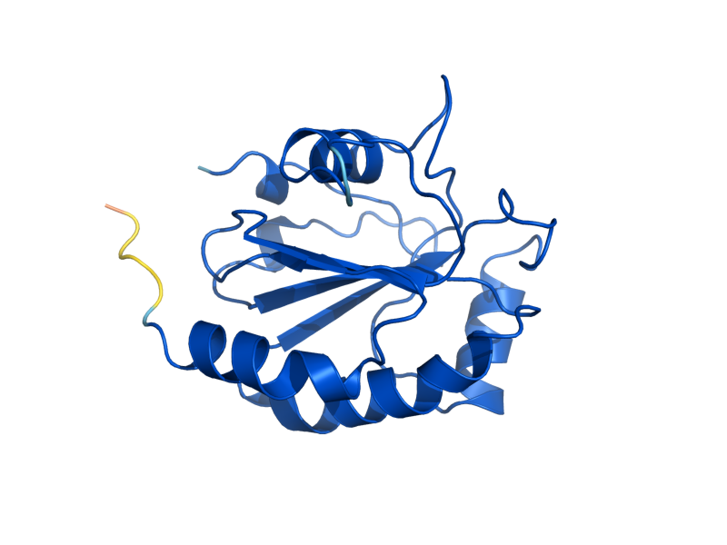 AlphaFold predicted structure of GPX1