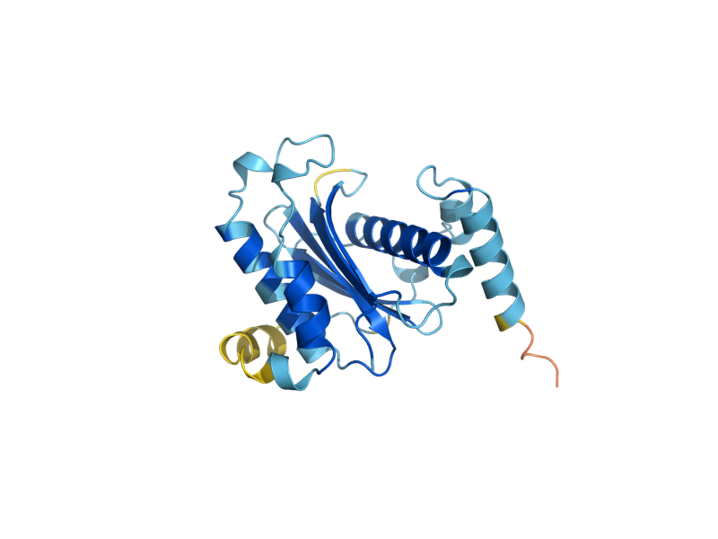 AlphaFold predicted structure of YKT6