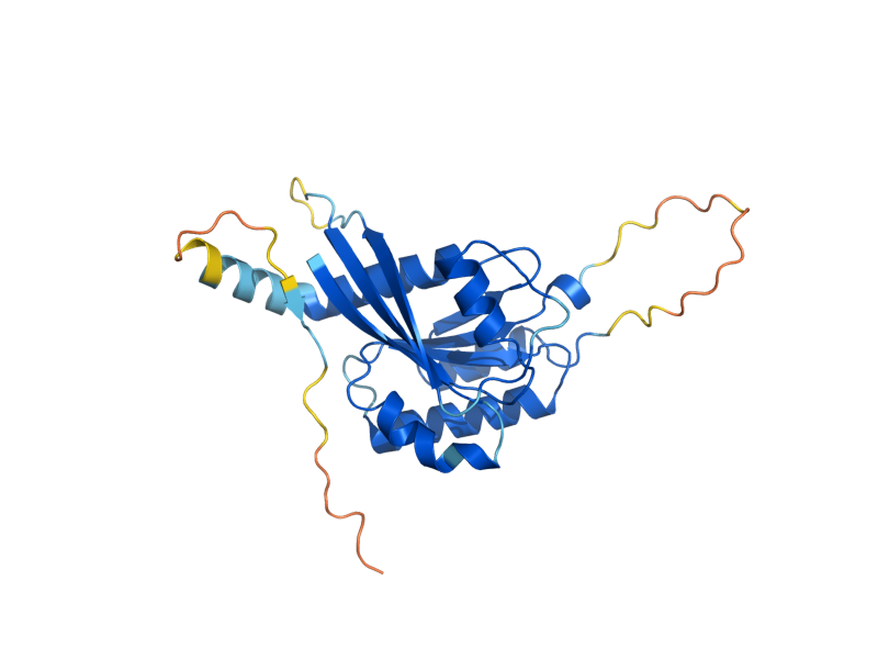 AlphaFold predicted structure of YPT52