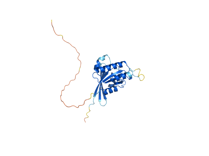 AlphaFold predicted structure of YPT53
