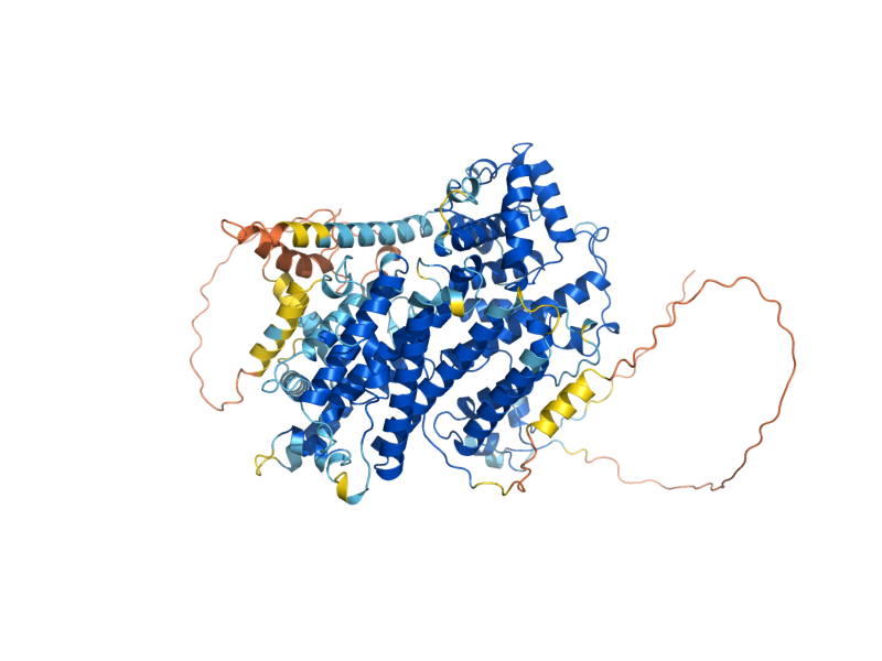 AlphaFold predicted structure of OAF3