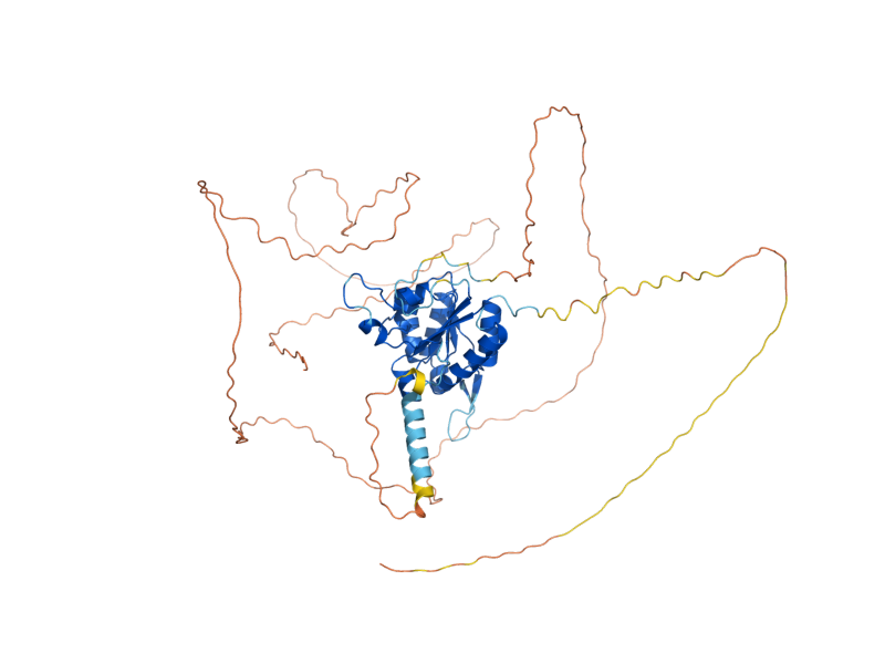 AlphaFold predicted structure of SIS2