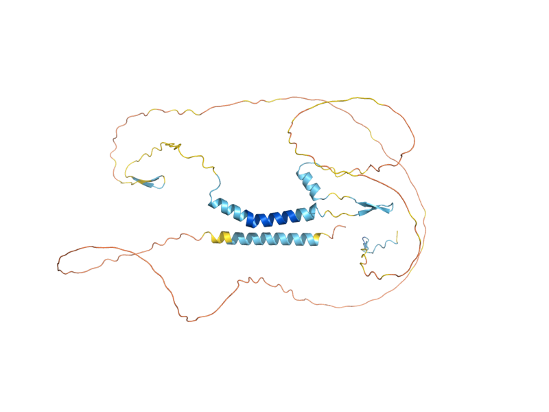 AlphaFold predicted structure of MID2