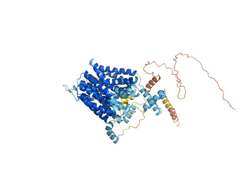 AlphaFold predicted structure of JEN1