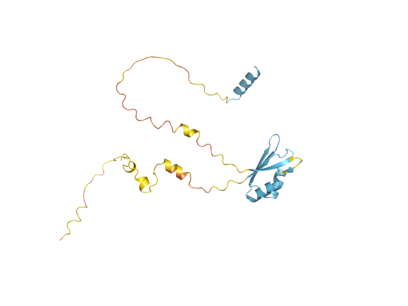 AlphaFold predicted structure of YRA2