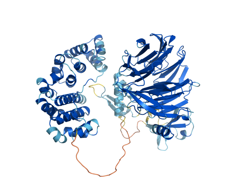 AlphaFold predicted structure of DOA1