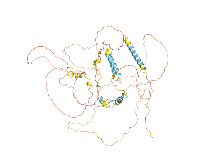 AlphaFold predicted structure of EAP1