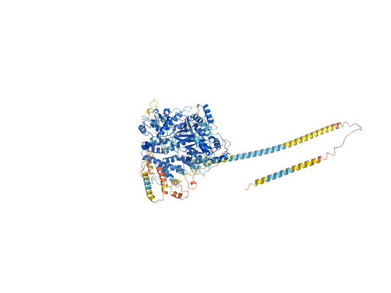 AlphaFold predicted structure of MNN4