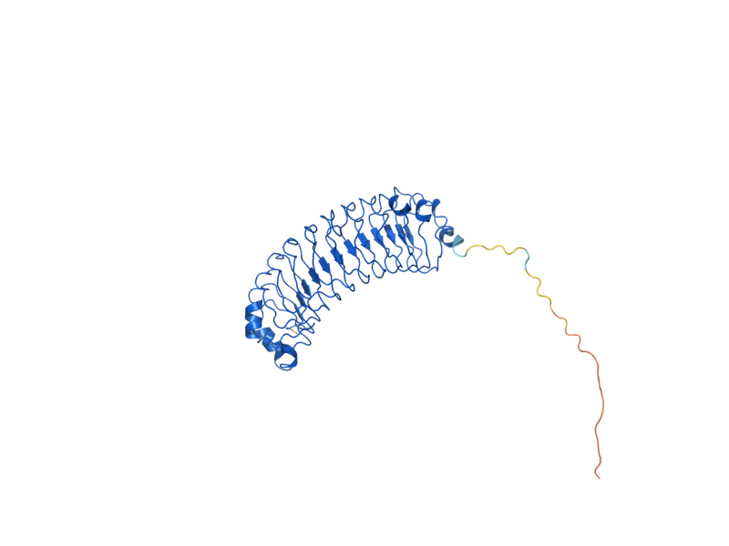 AlphaFold predicted structure of SDS22