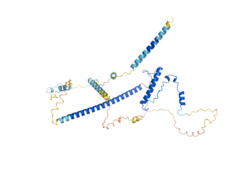 AlphaFold predicted structure of EBP2