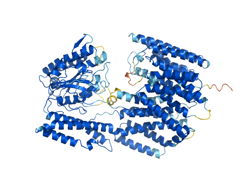 AlphaFold predicted structure of MCD4