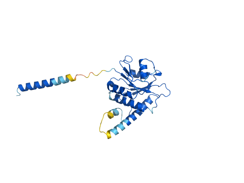AlphaFold predicted structure of SRP102