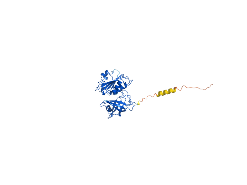 AlphaFold predicted structure of MCR1