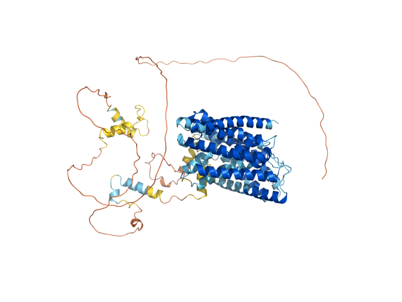 AlphaFold predicted structure of AVT3
