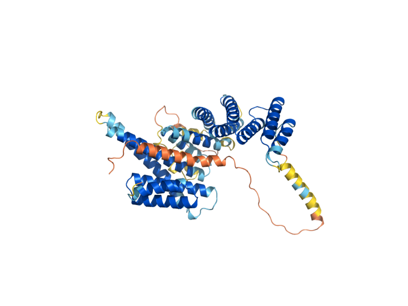 AlphaFold predicted structure of RCI50