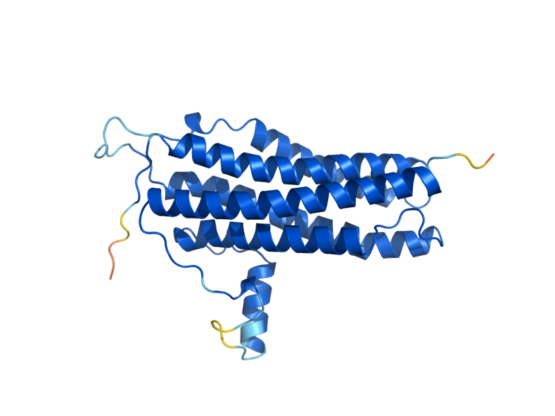 AlphaFold predicted structure of SHE2