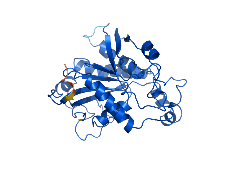 AlphaFold predicted structure of PMU1