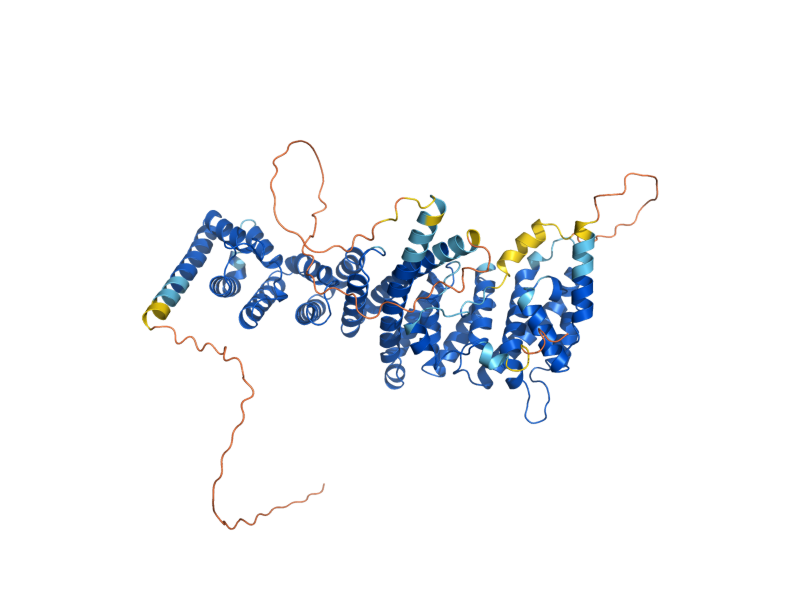 AlphaFold predicted structure of RRN3