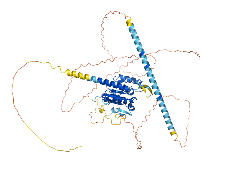 AlphaFold predicted structure of CAB3