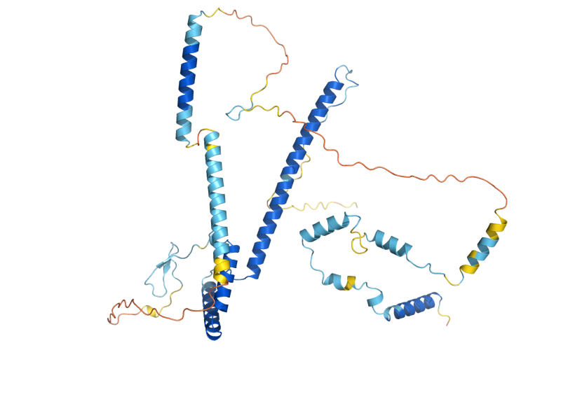 AlphaFold predicted structure of RRP14