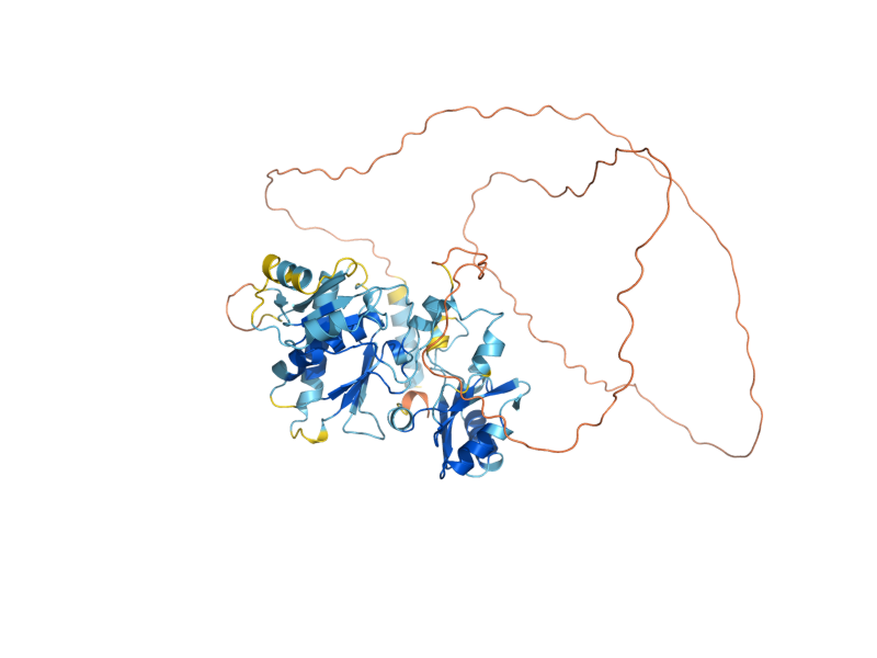 AlphaFold predicted structure of MUD2