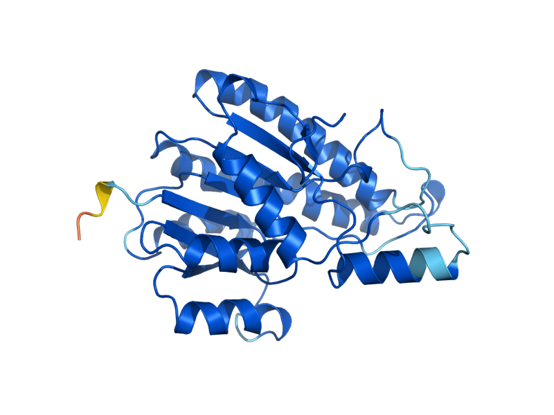 AlphaFold predicted structure of OSI1